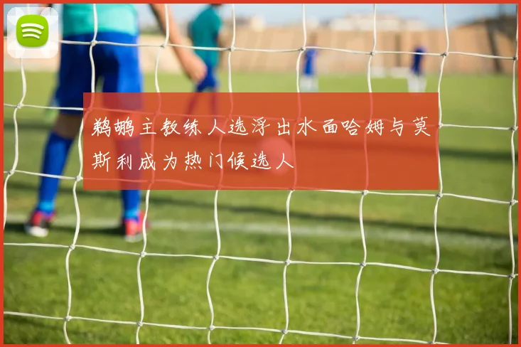 鹈鹕主教练人选浮出水面哈姆与莫斯利成为热门候选人