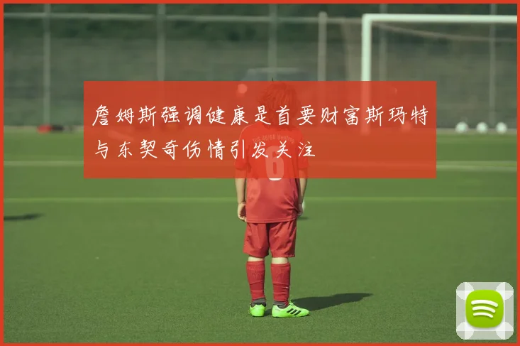 詹姆斯强调健康是首要财富斯玛特与东契奇伤情引发关注